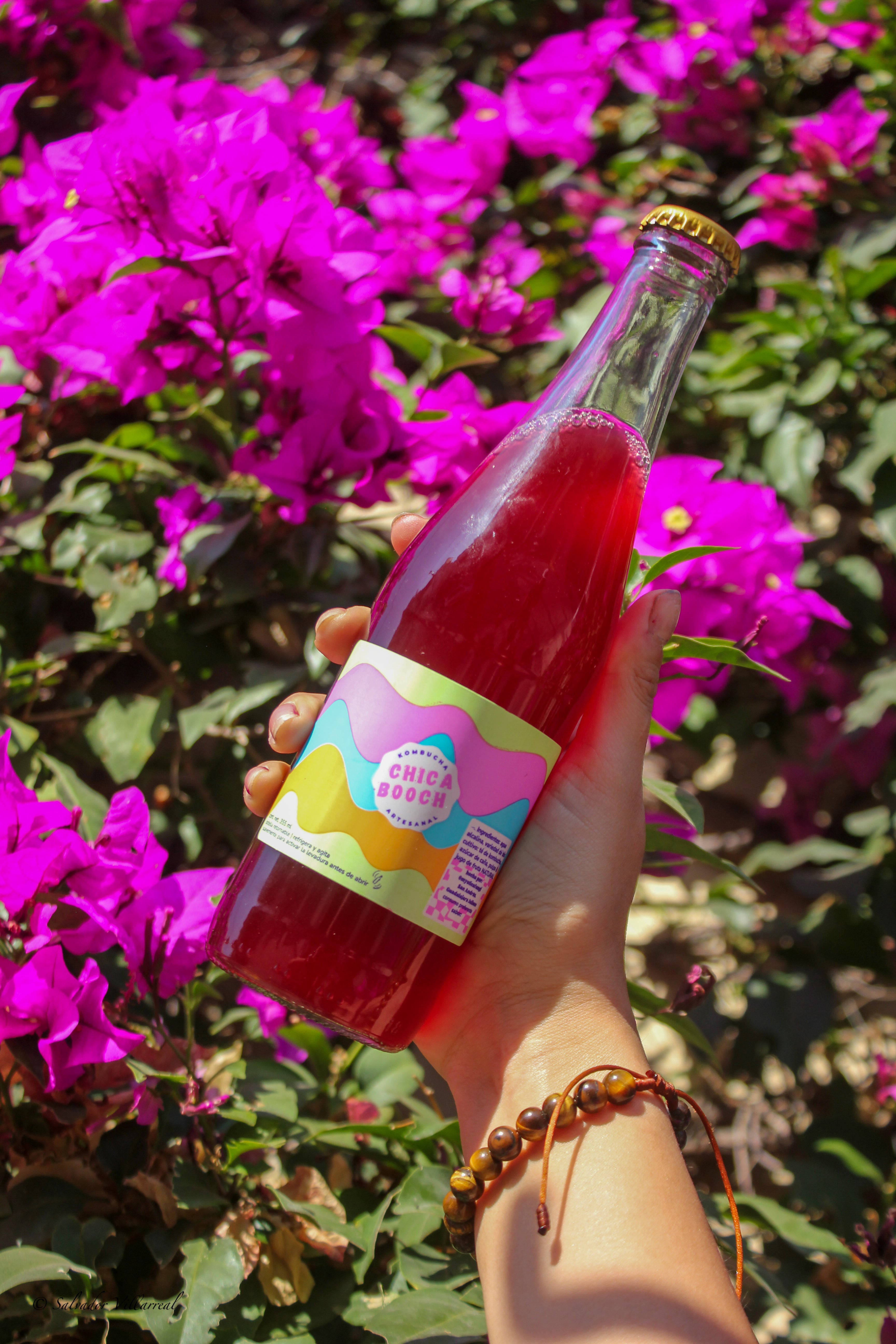 chica booch 355 ml : jamaica