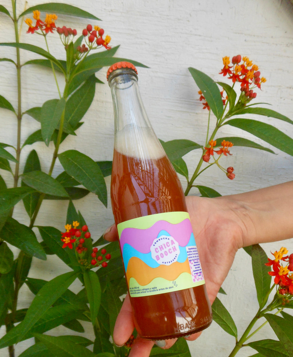 chica booch 355 ml : Rooibos