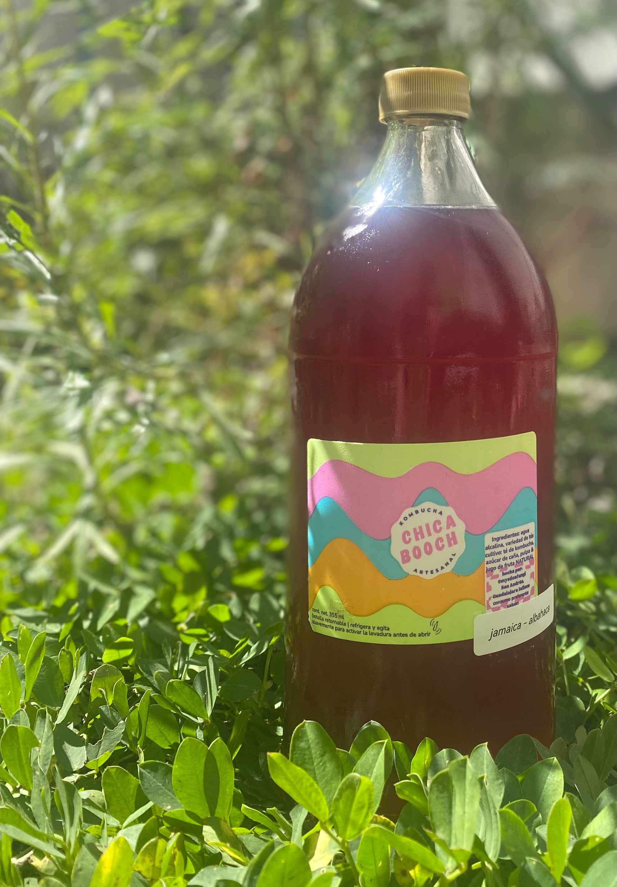 chica booch 960 ml PRIMERA VEZ : JAMAICA