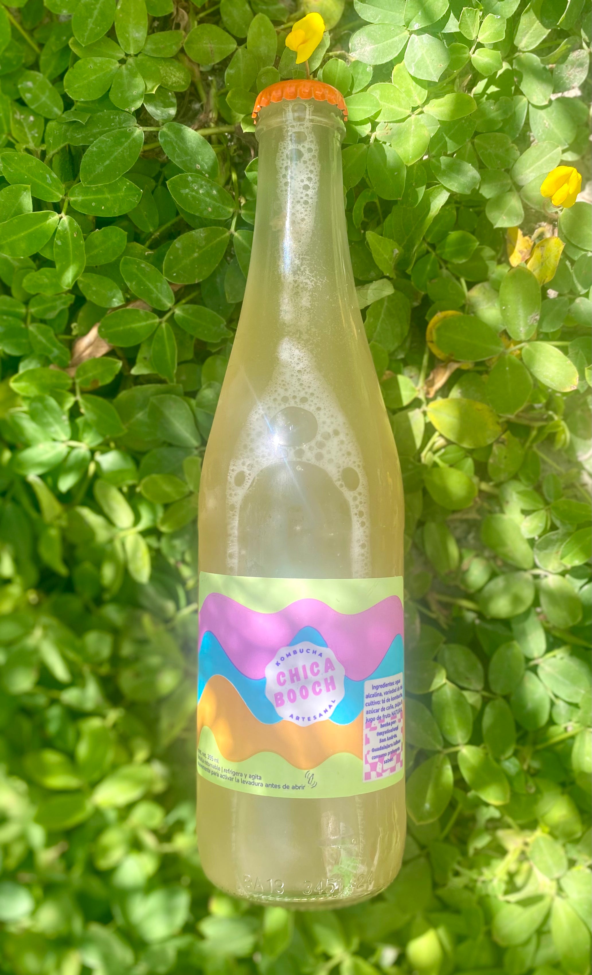 chica booch 355 ml : Té verde