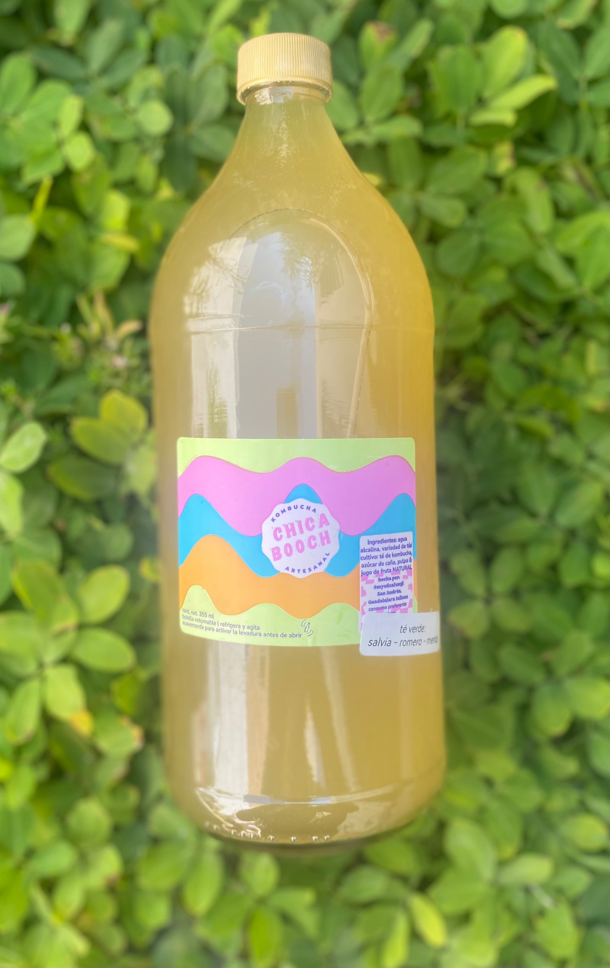 chica booch 960 ml PRIMERA VEZ : Té verde