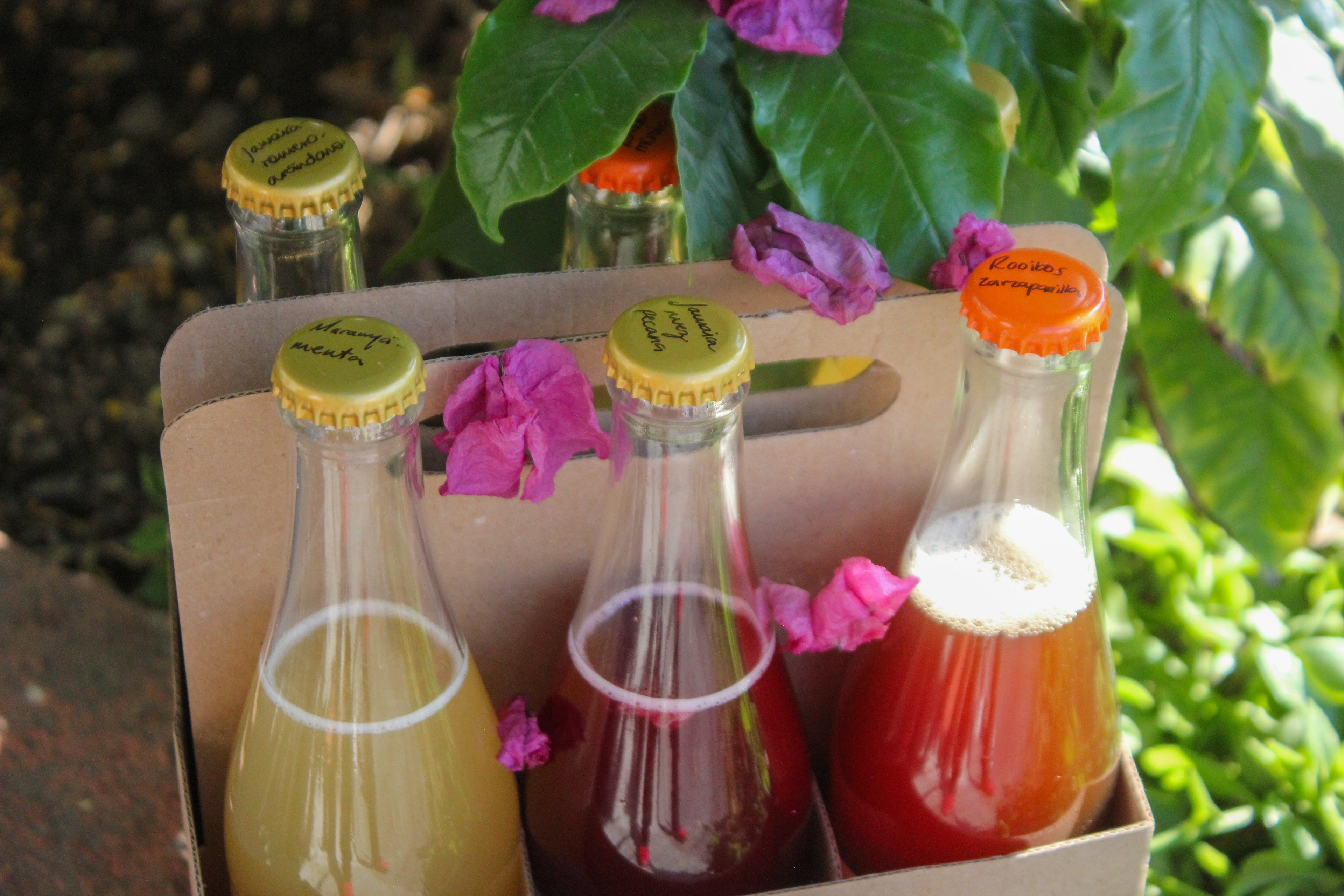 chica booch 355 ml : DOCE sabores surtidos