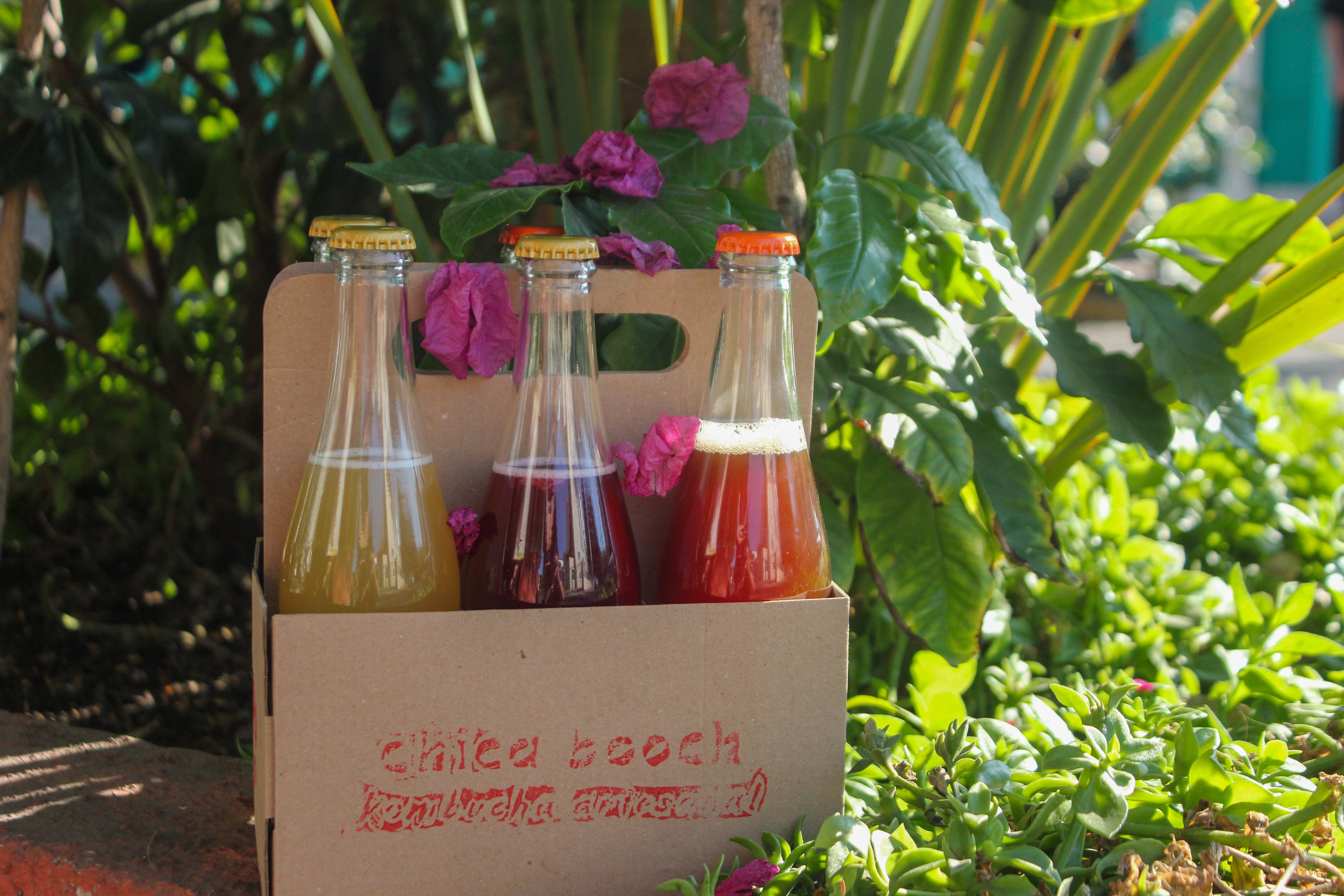 chica booch 355 ml : DOCE sabores surtidos